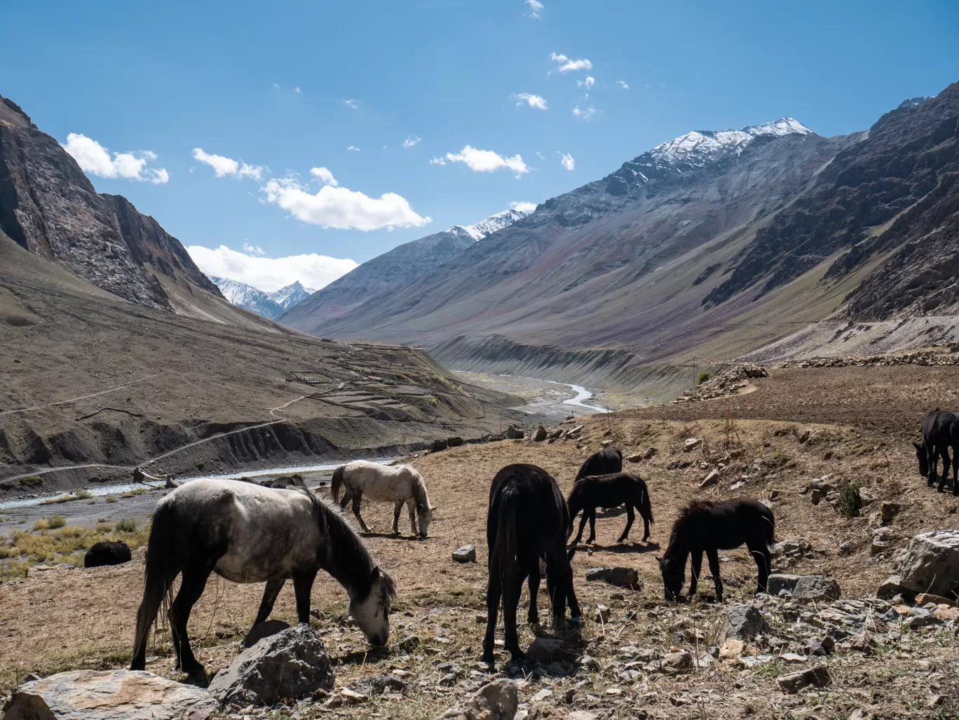 Photo of Kaza By Touring Diaries