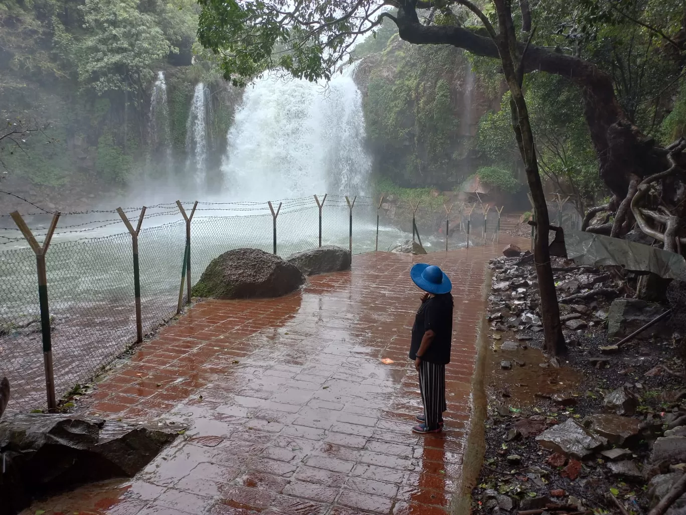 Photo of Thoseghar Waterfall By Priya Krishnamoorthy