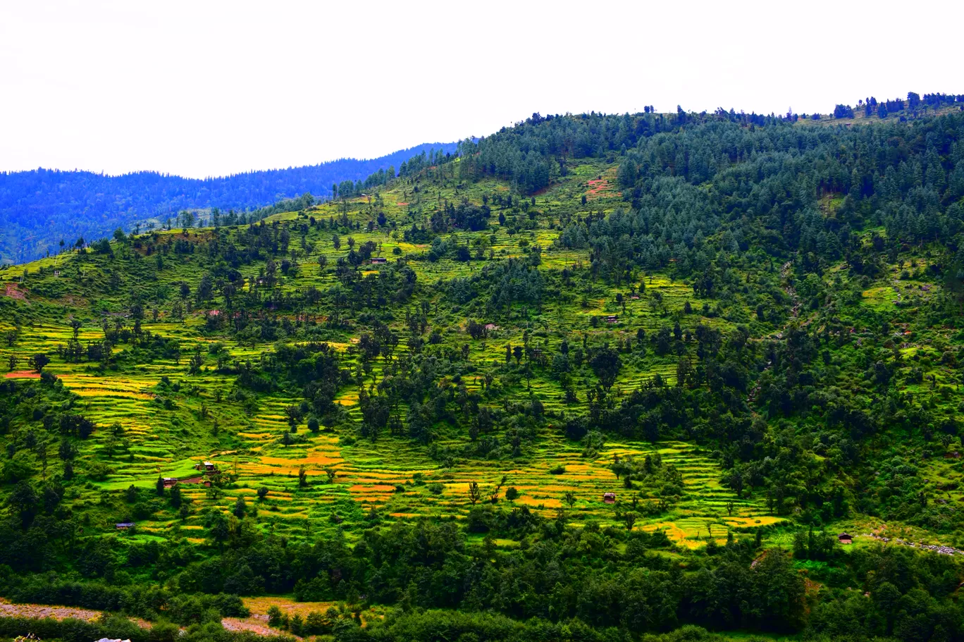 Photo of Sewa By Archana Venkat