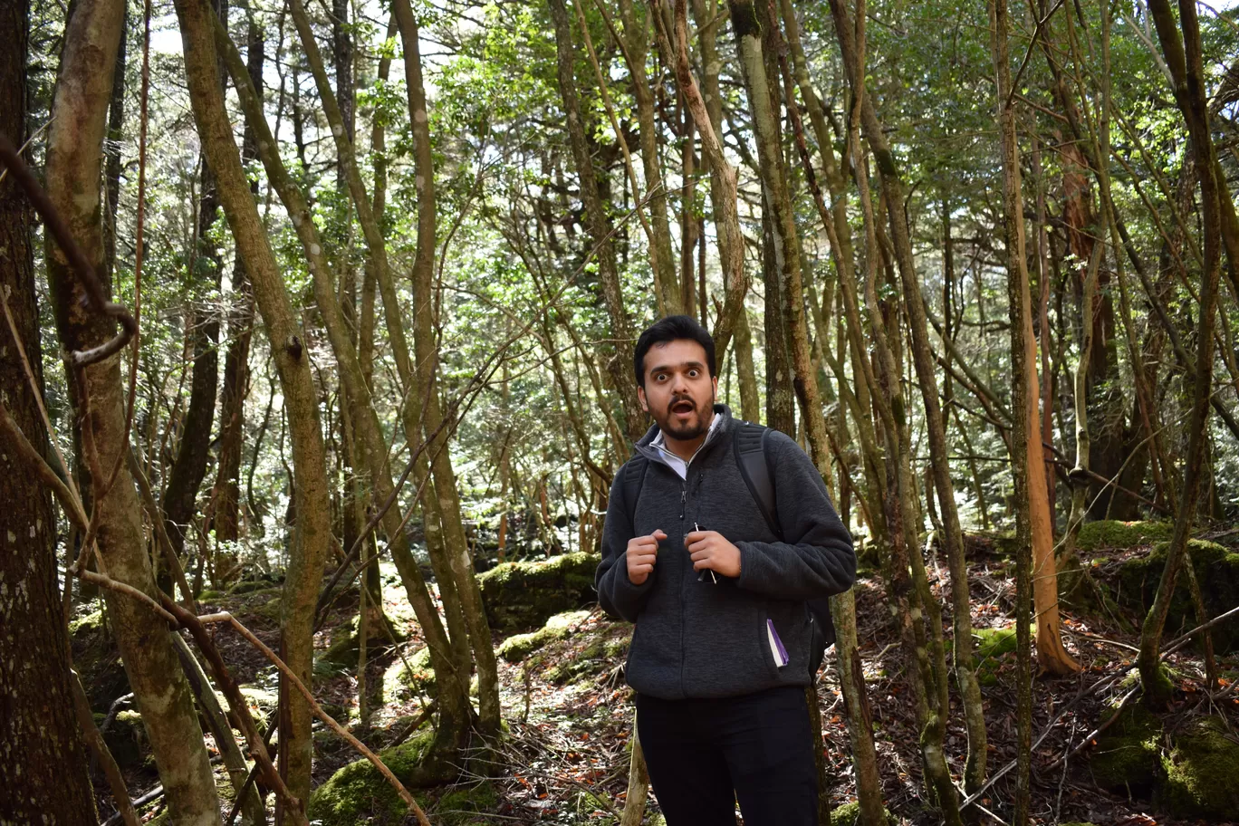 Photo of Aokigahara Forest By Shruti Sharma
