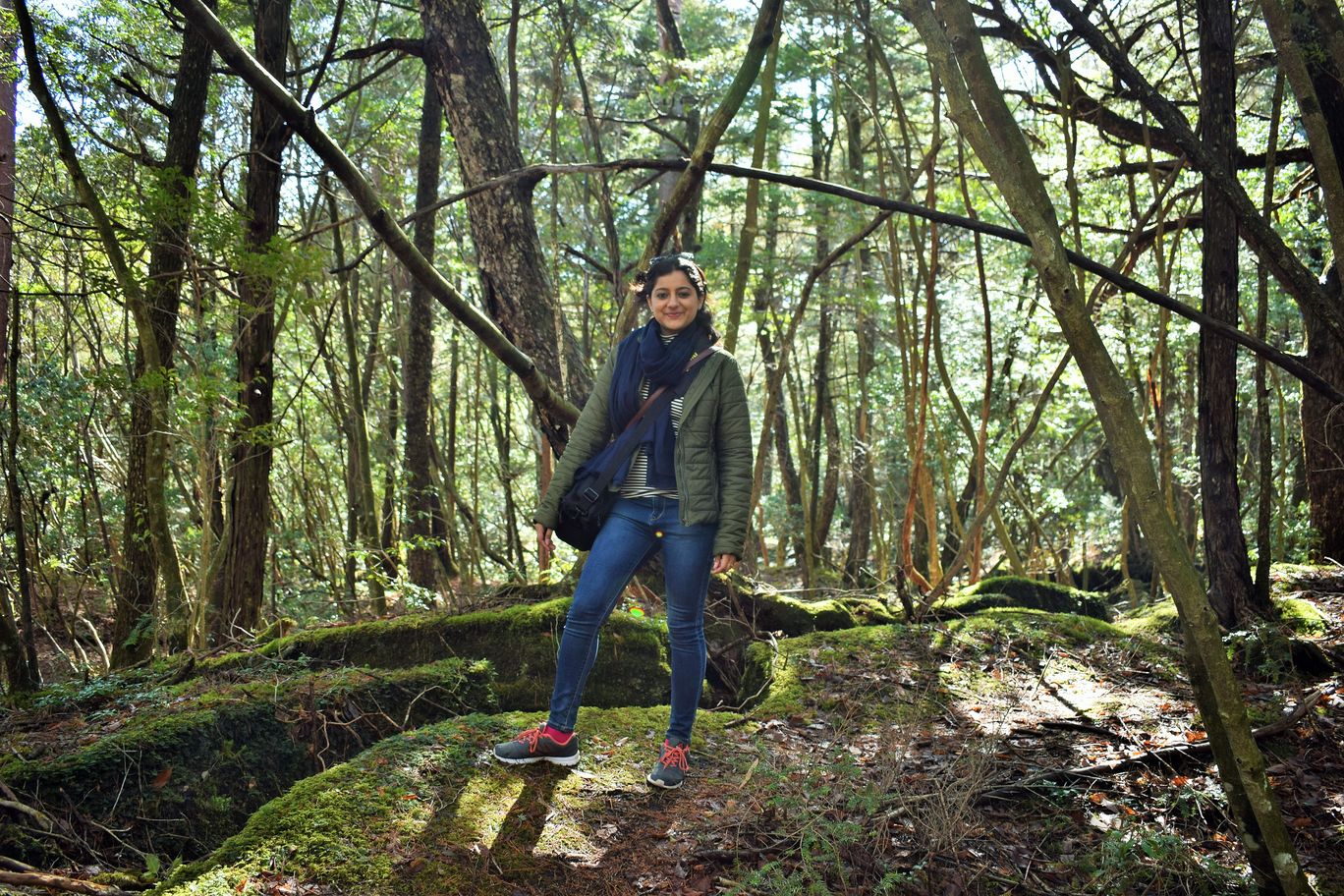 Photo of Aokigahara Forest By Shruti Sharma