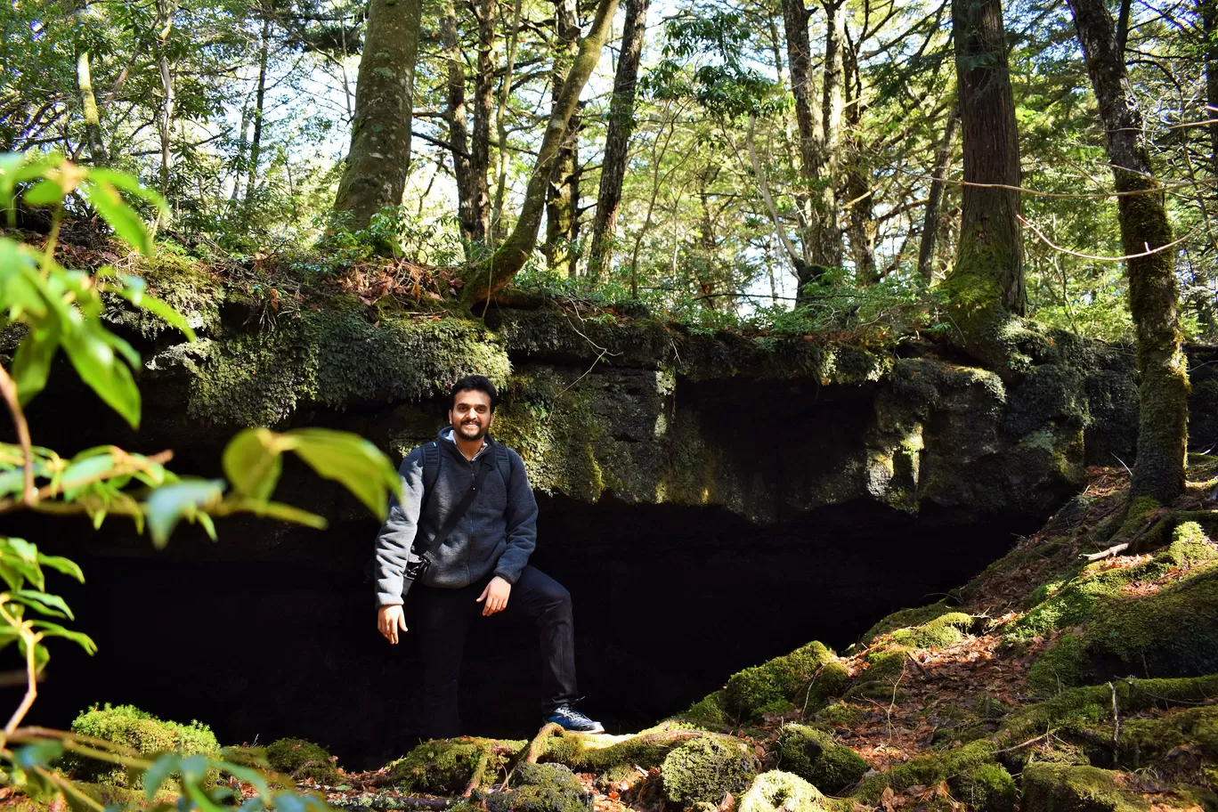 Photo of Aokigahara Forest By Shruti Sharma