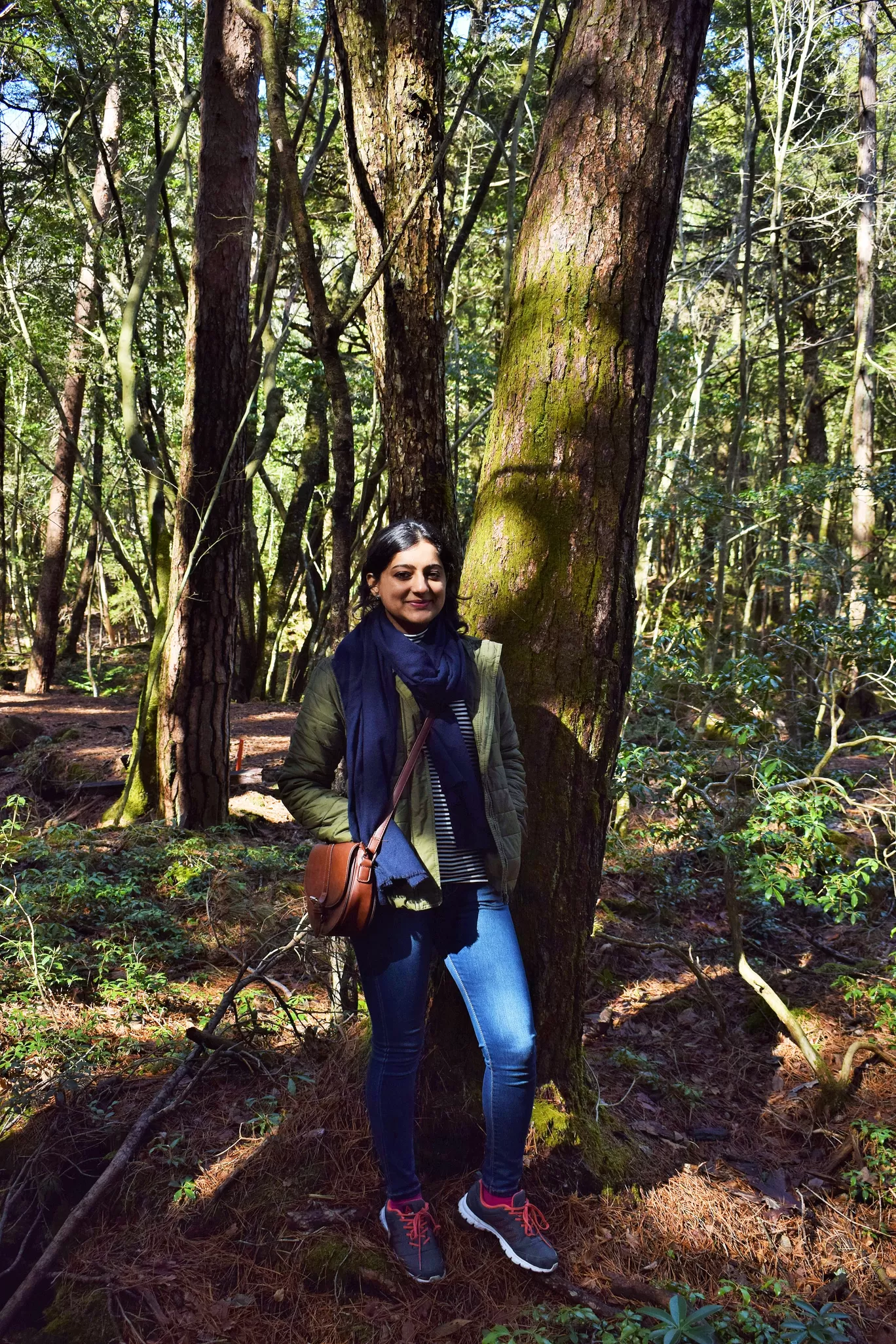 Photo of Aokigahara Forest By Shruti Sharma