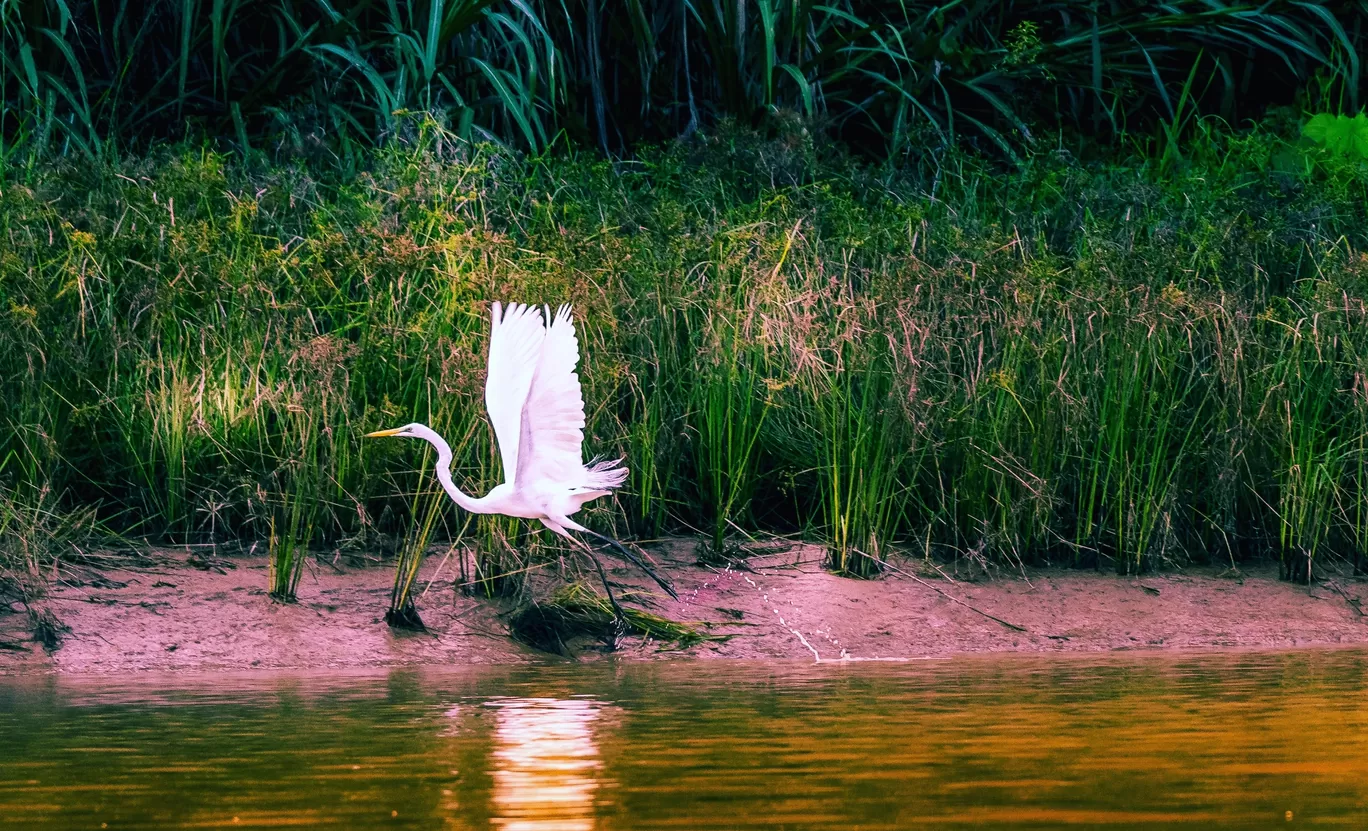 Photo of Malaysia By Amit Kumar