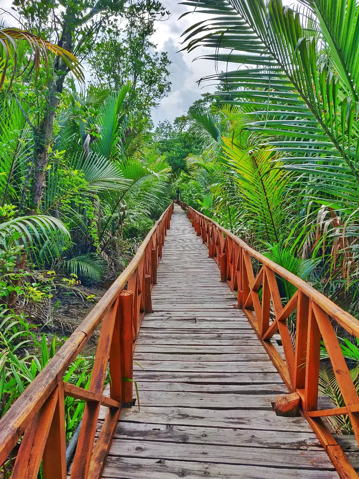 Photo of Andaman and Nicobar Islands By shashank shekhar singh 