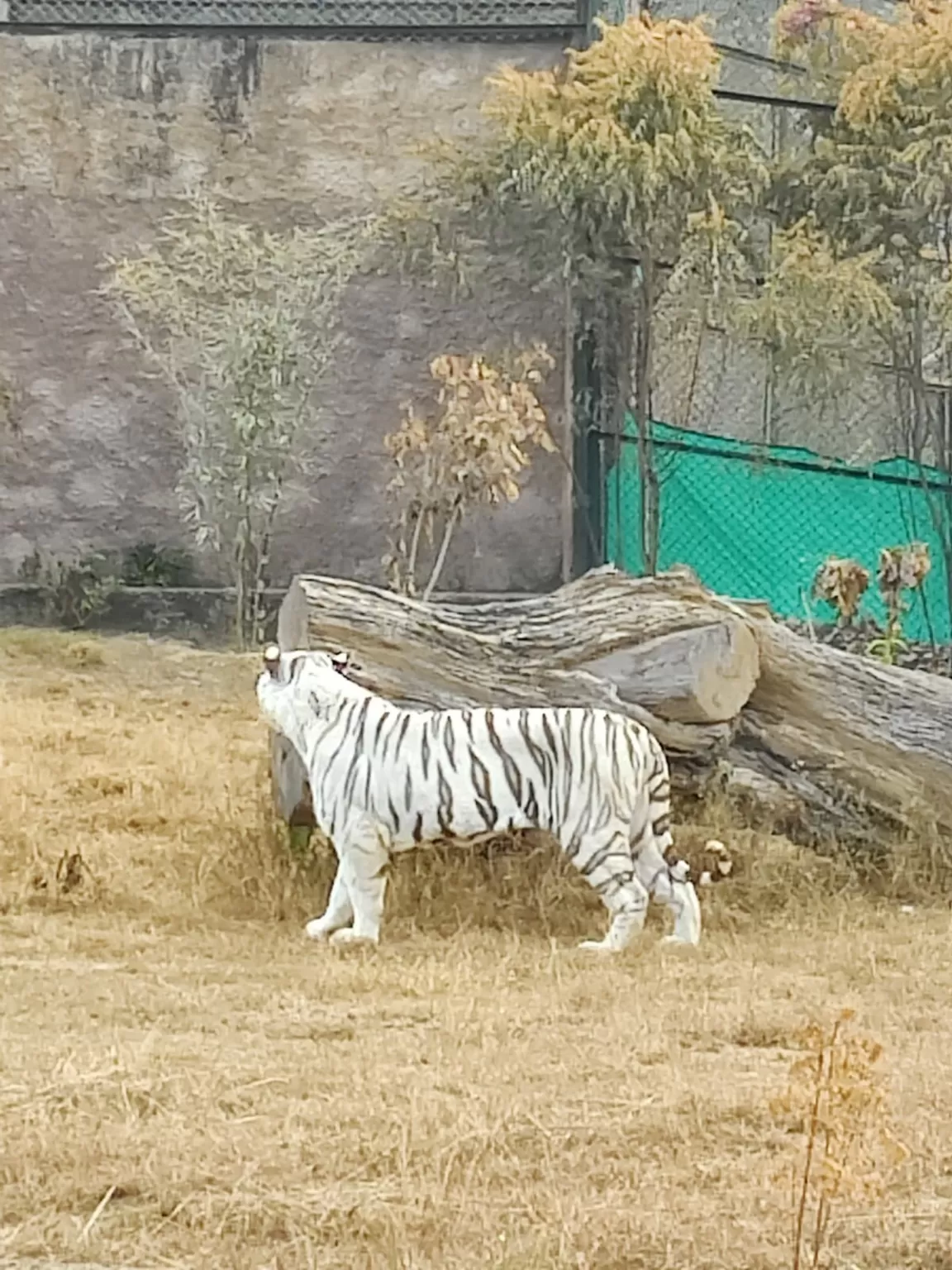Photo of Nahargarh Biological Park By nandini sharma