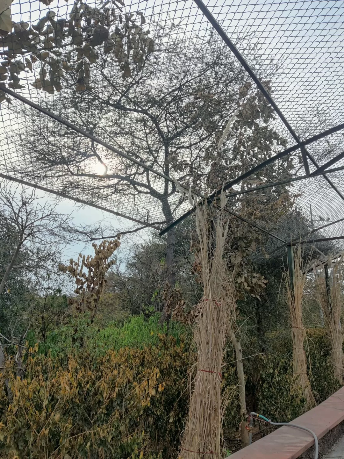 Photo of Nahargarh Biological Park By nandini sharma