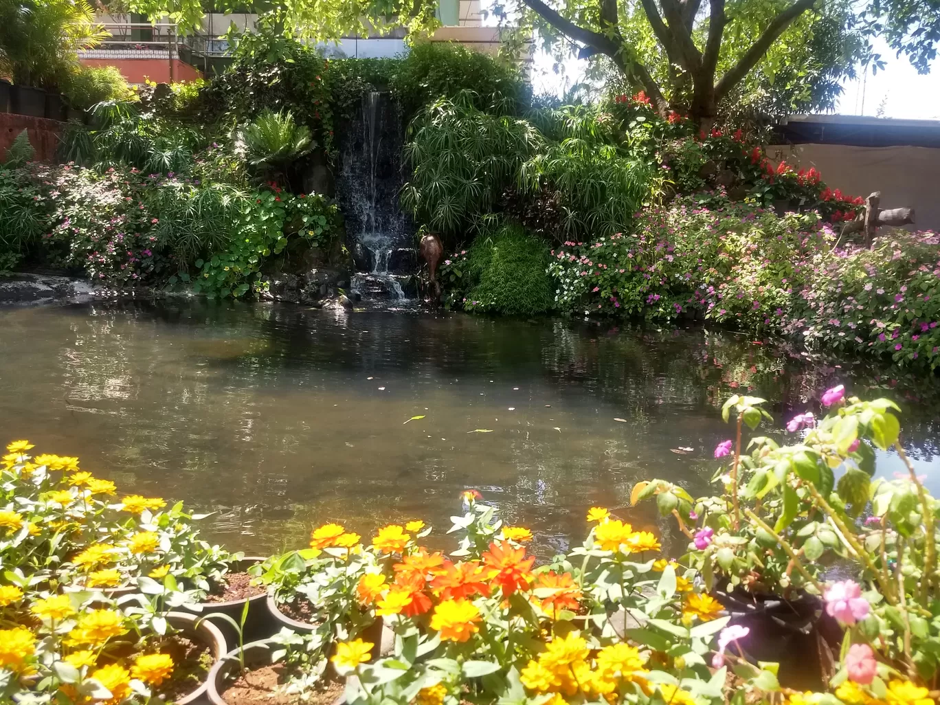 Photo of Mapro Garden By pshrutika