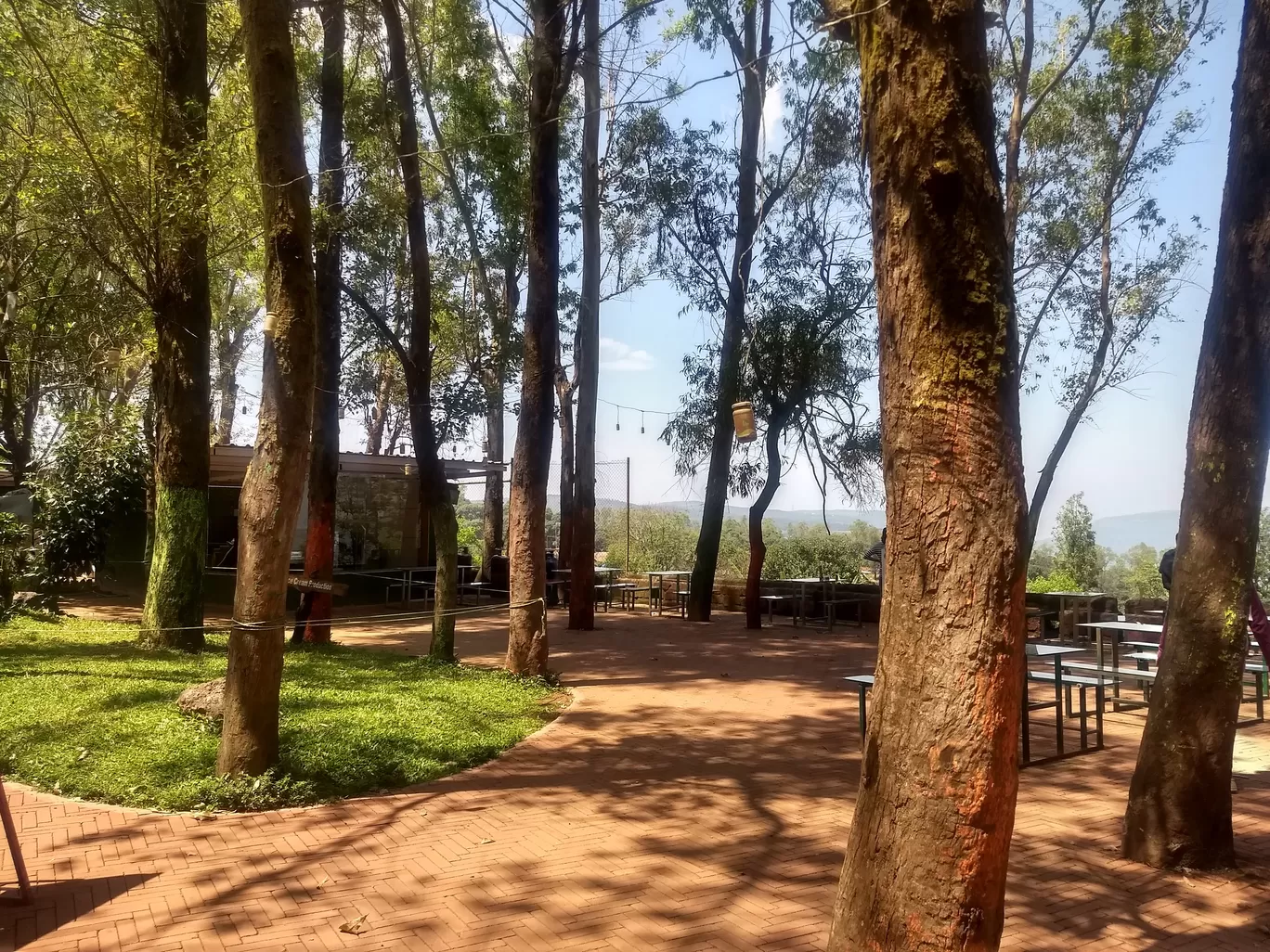 Photo of Mapro Garden By pshrutika