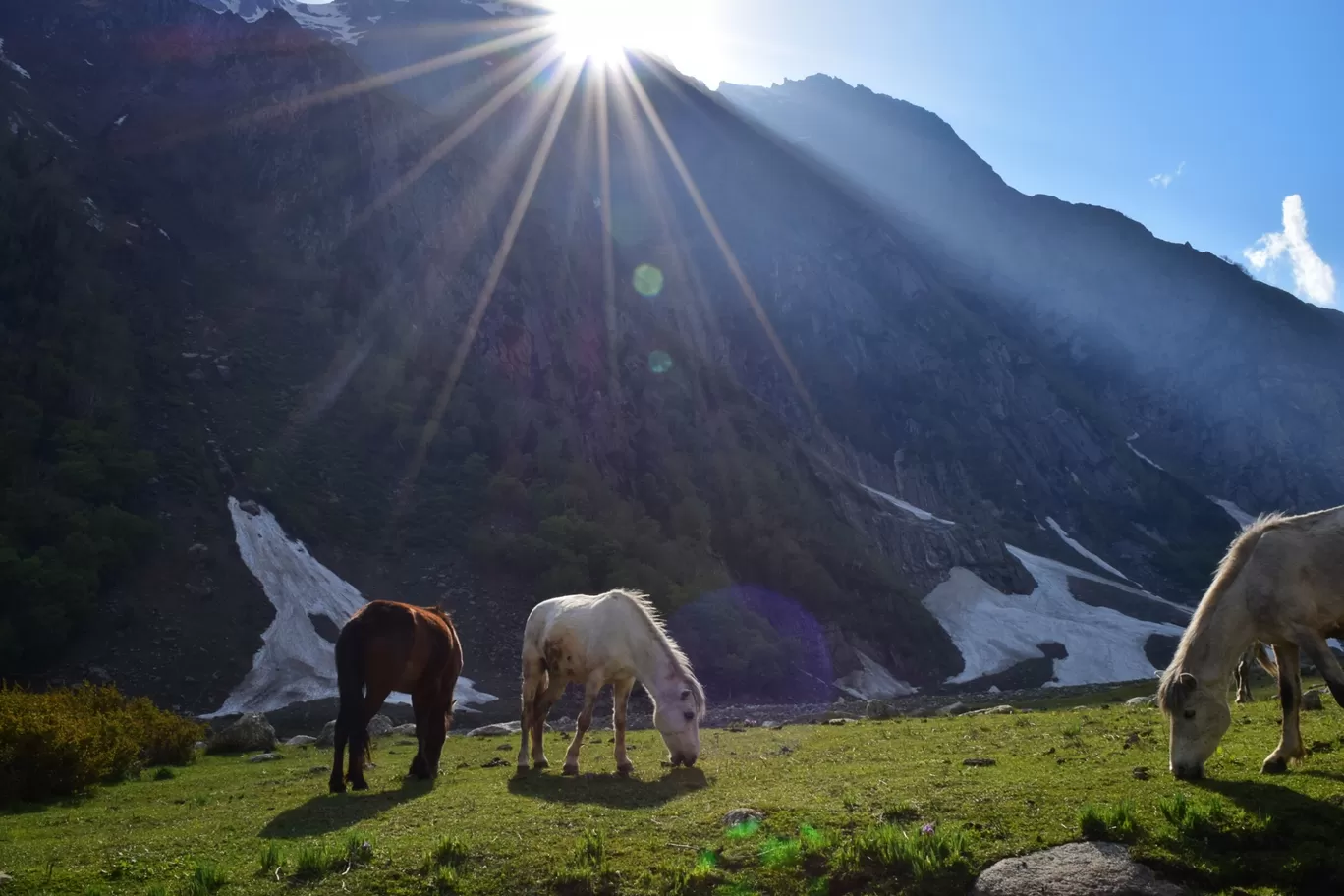 Photo of Himachal Pradesh By pshrutika