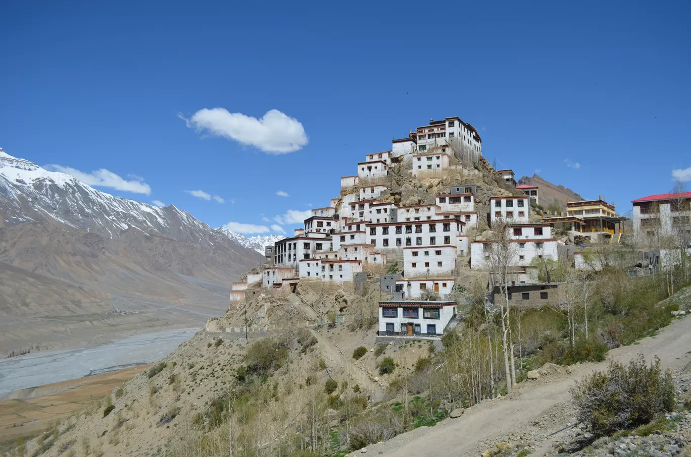 Photo of Key Gompa By pshrutika