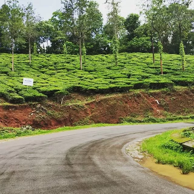 Photo of Wayanad By Deepaboli Roy