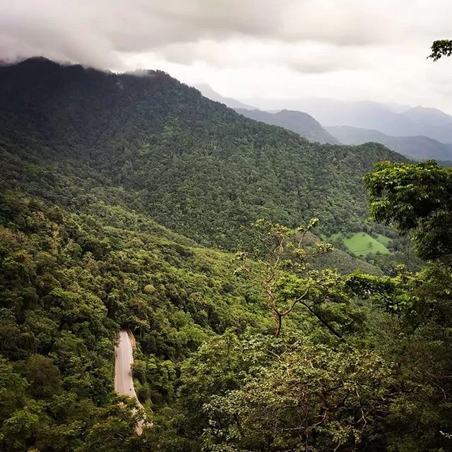 Photo of Wayanad By Deepaboli Roy