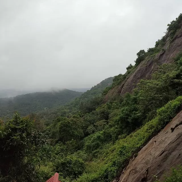 Photo of Wayanad By Deepaboli Roy