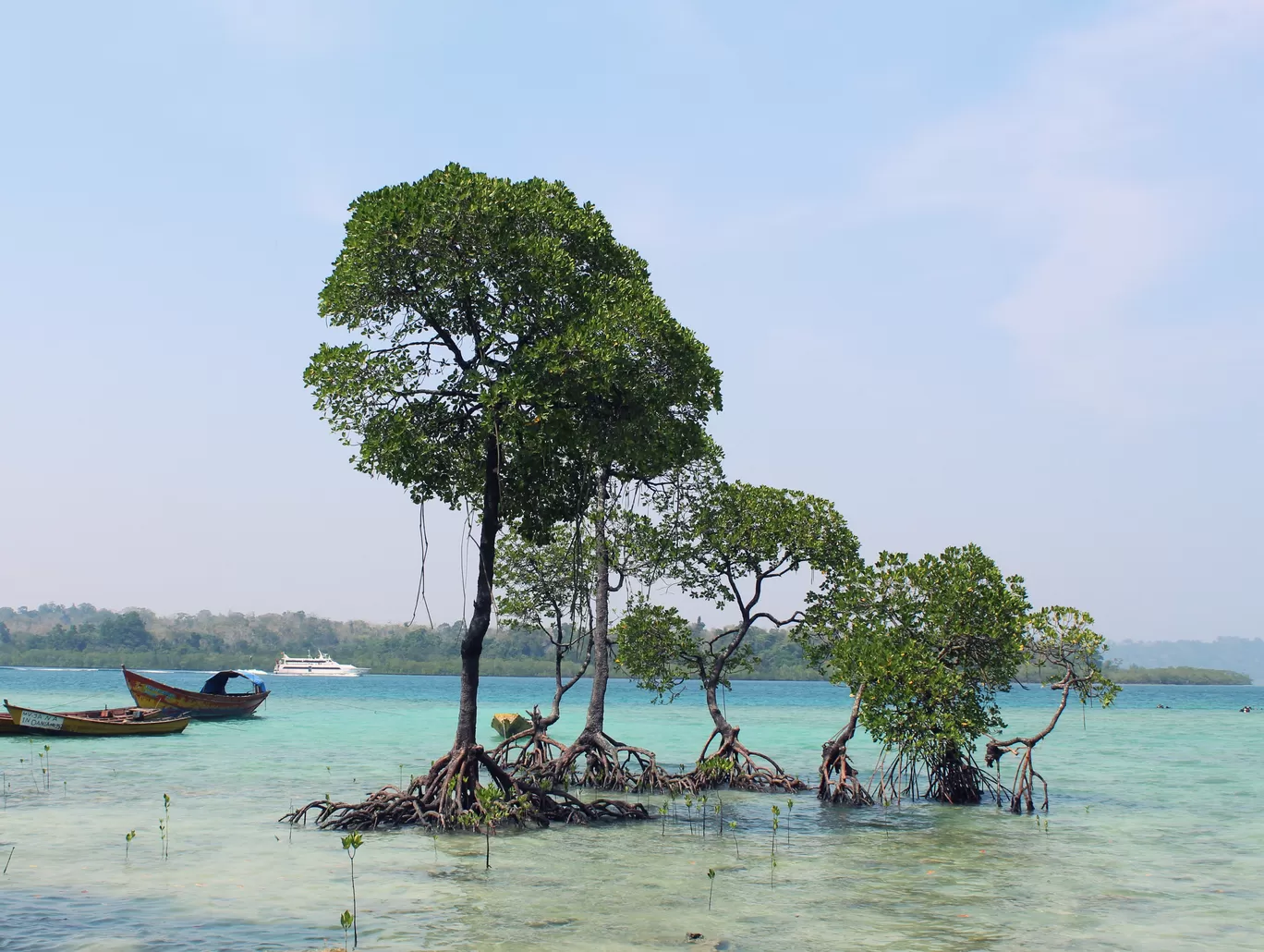 Photo of Andaman Islands By Tarun Nayyar