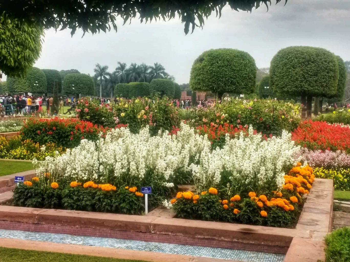 Photo of Mughal Garden By Sumali Dutta Paul