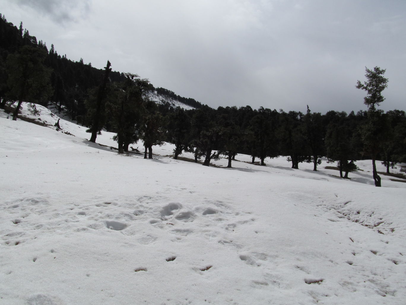 Photo of Uttarakhand Adventures: Roorkee To Chandrashila By Anshum Agarwal