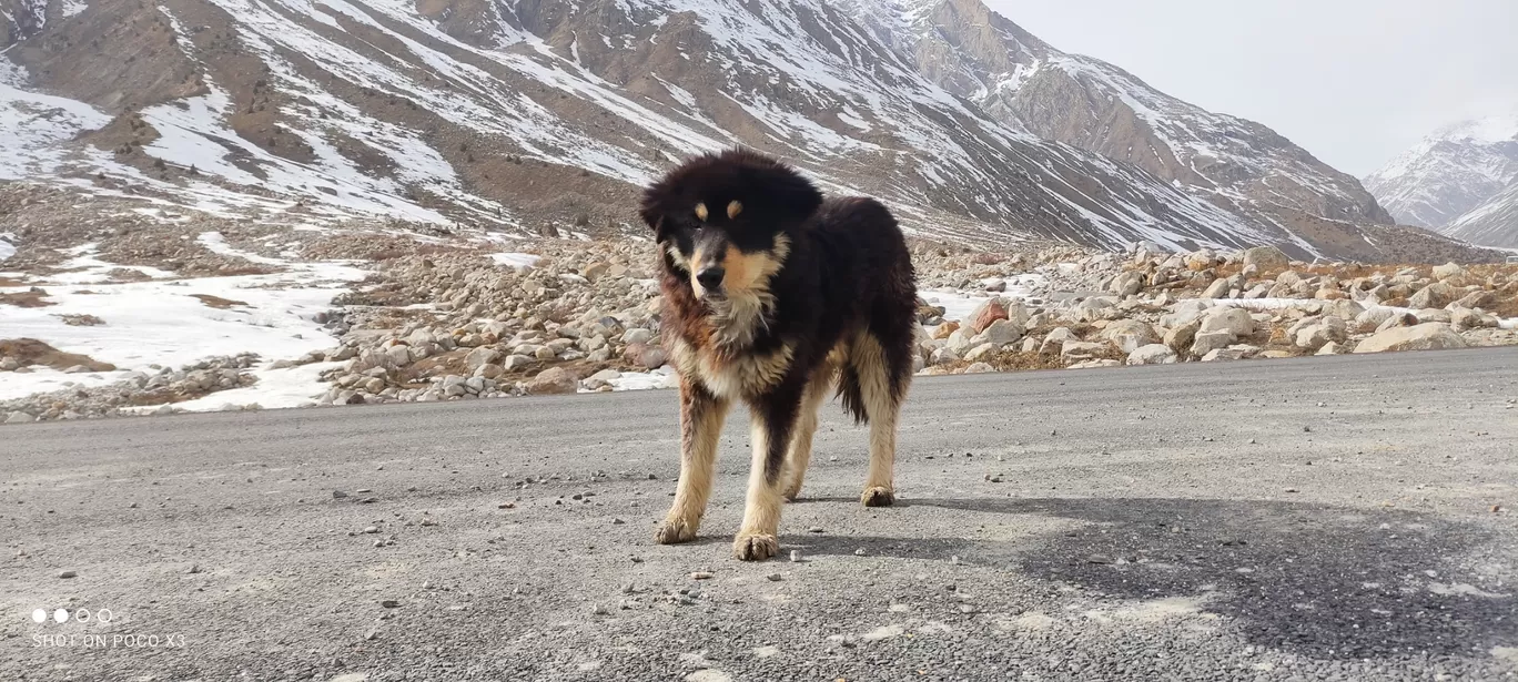 Photo of Himachal Pradesh#keylong, jispa, sissu, kinnaur, kaza, lahul, spiti By Abhishek Lal