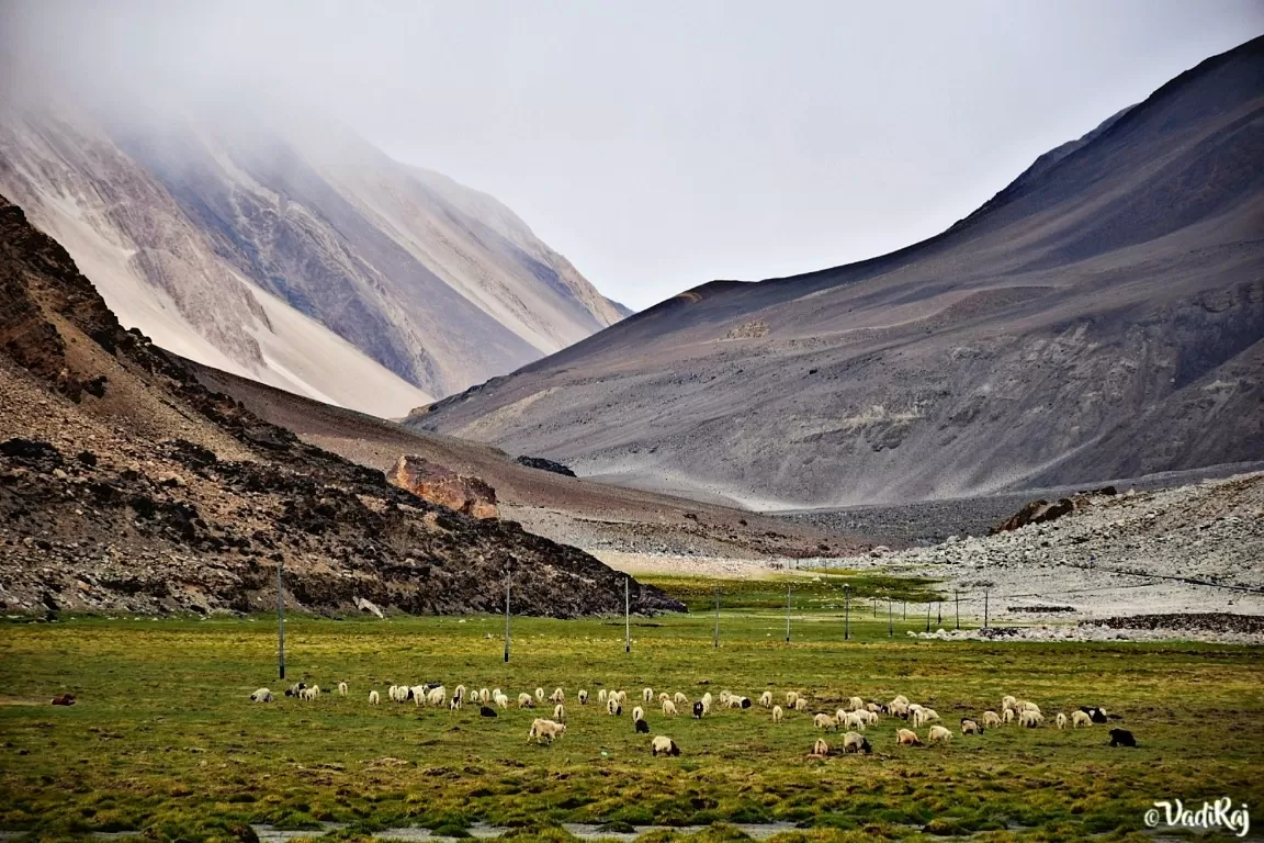 Photo of LEH LADAKH By Vadi Raj