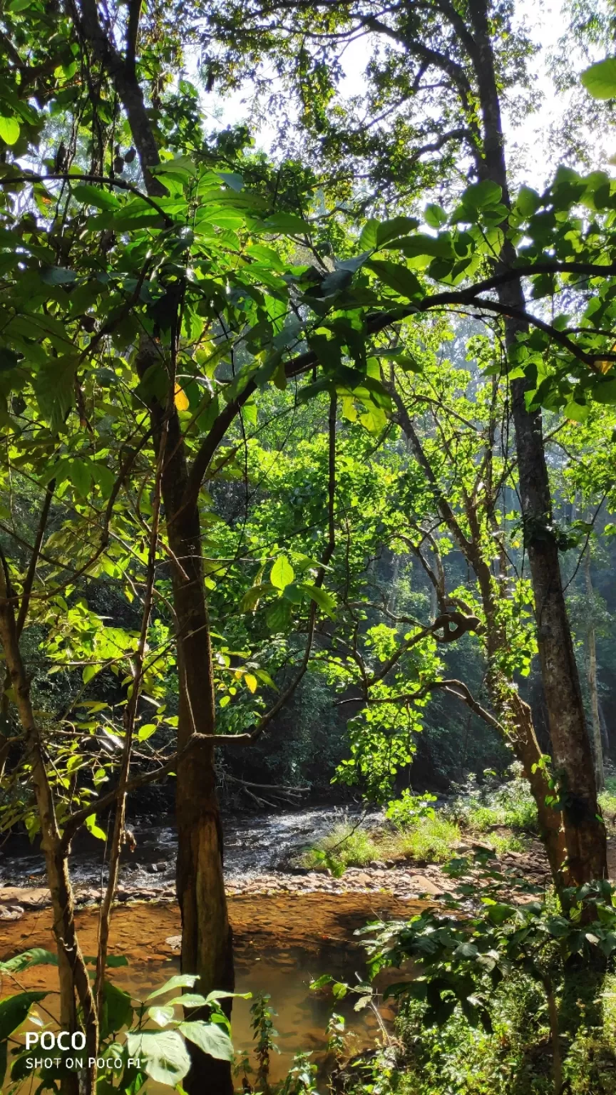 Photo of Hebbe Falls By Sumit Sharma