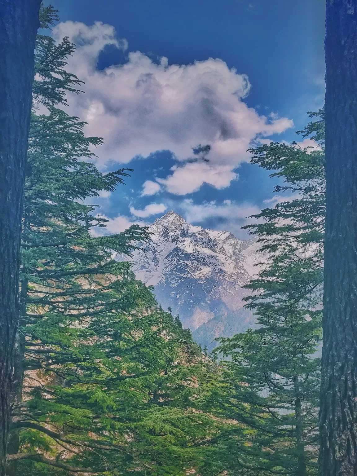 Photo of Kinnaur By Mayank Rawat