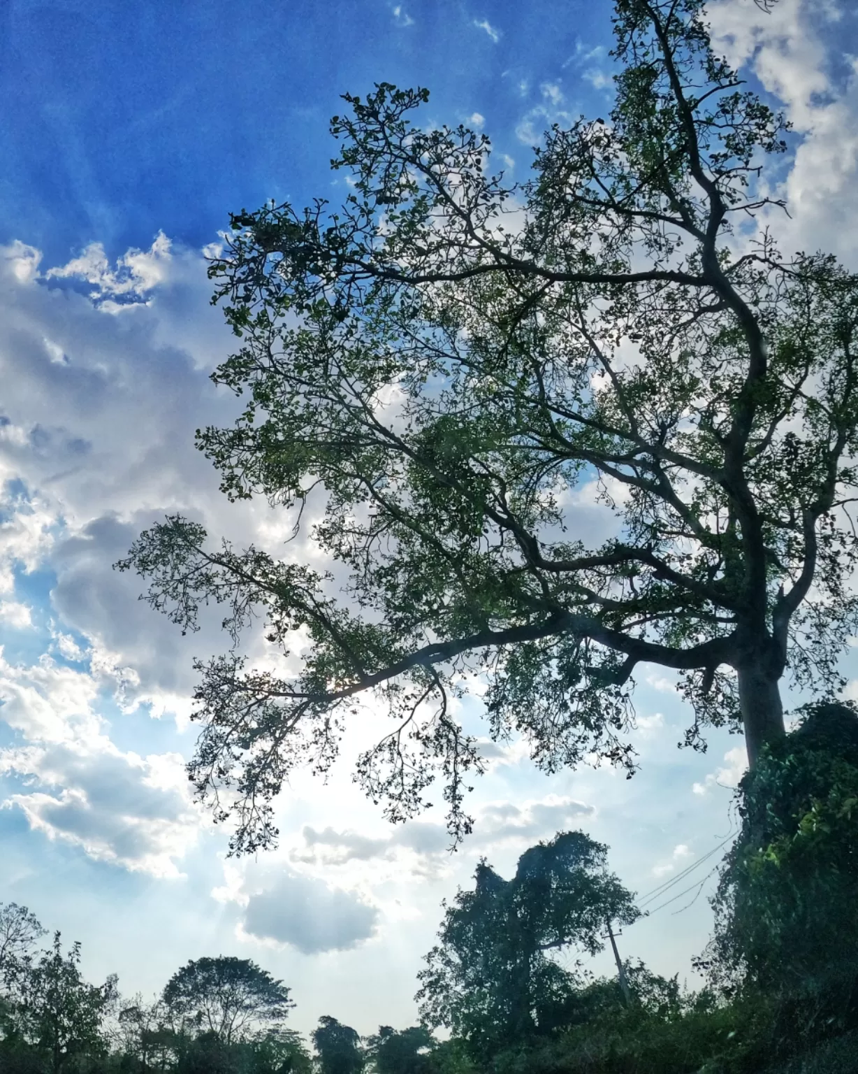 Photo of Coorg By Heena Raheja
