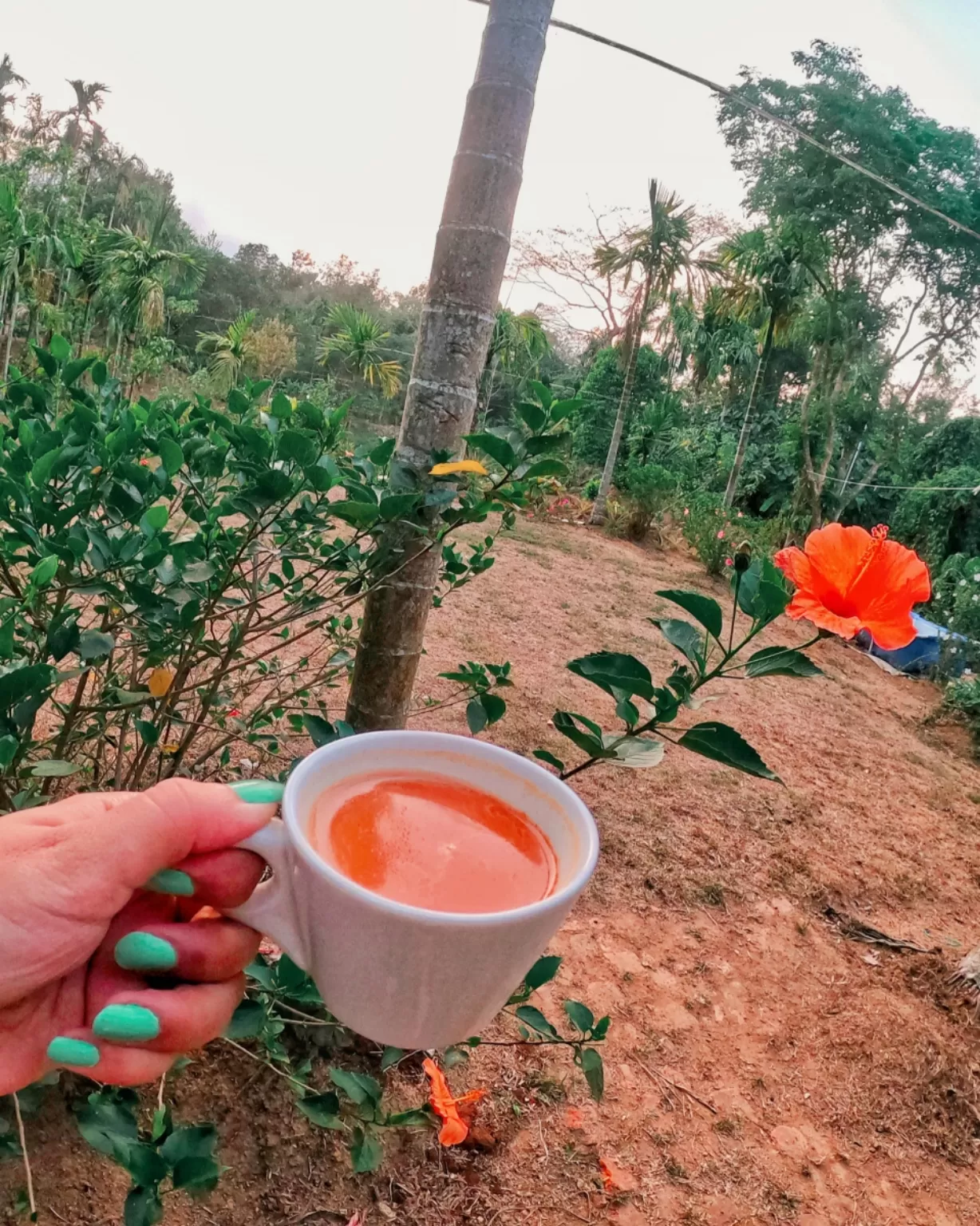 Photo of Coorg By Heena Raheja