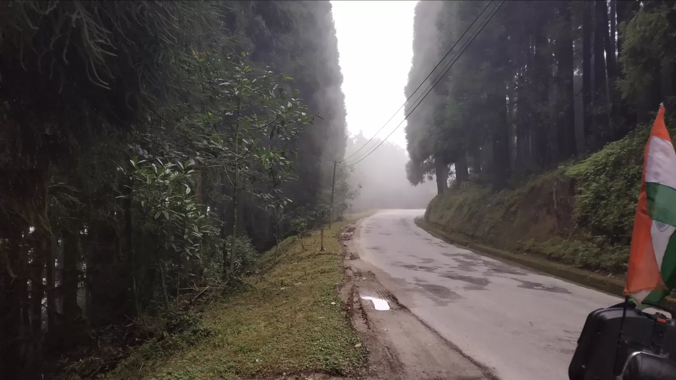 Photo of Temi Tea Garden By Tridib Choudhury 