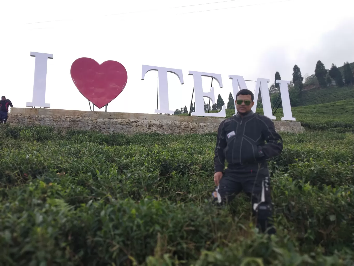 Photo of Temi Tea Garden By Tridib Choudhury 