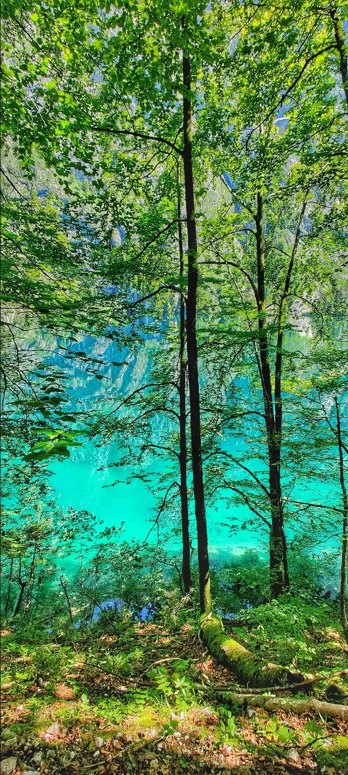 Photo of Schönau am Königssee By Shubham Ganbote