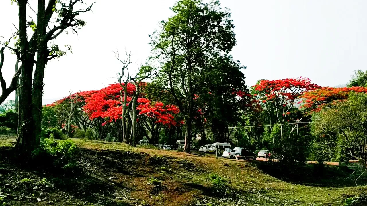 Photo of Karnataka By Neha Khandelwal