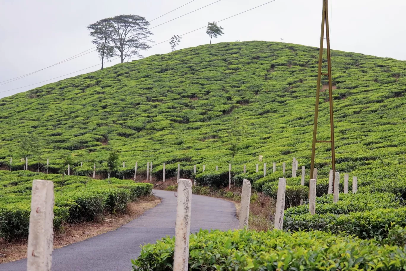 Photo of Periyar Tiger Reserve By Muthuvel Kalaivanan