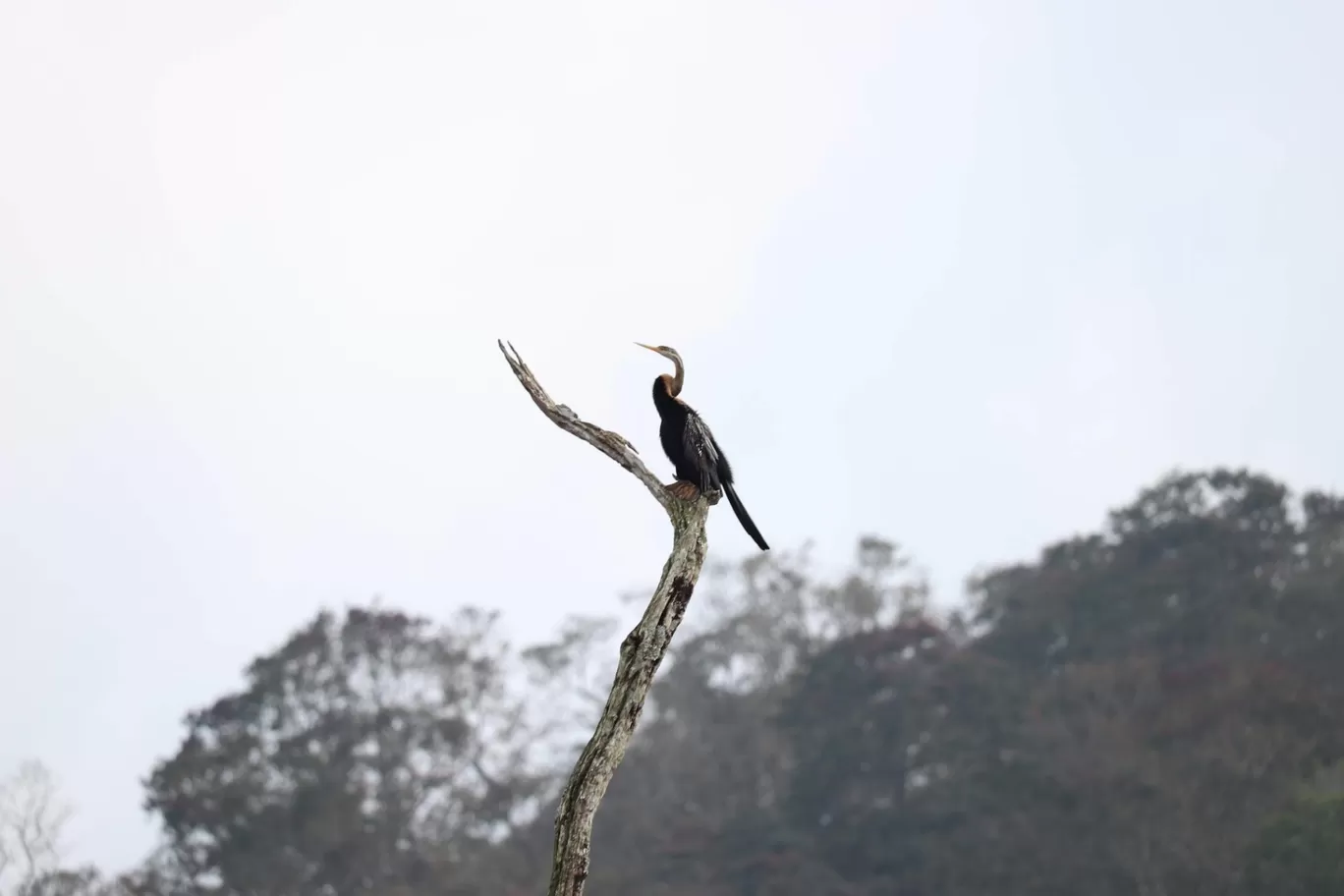 Photo of Periyar Tiger Reserve By Muthuvel Kalaivanan