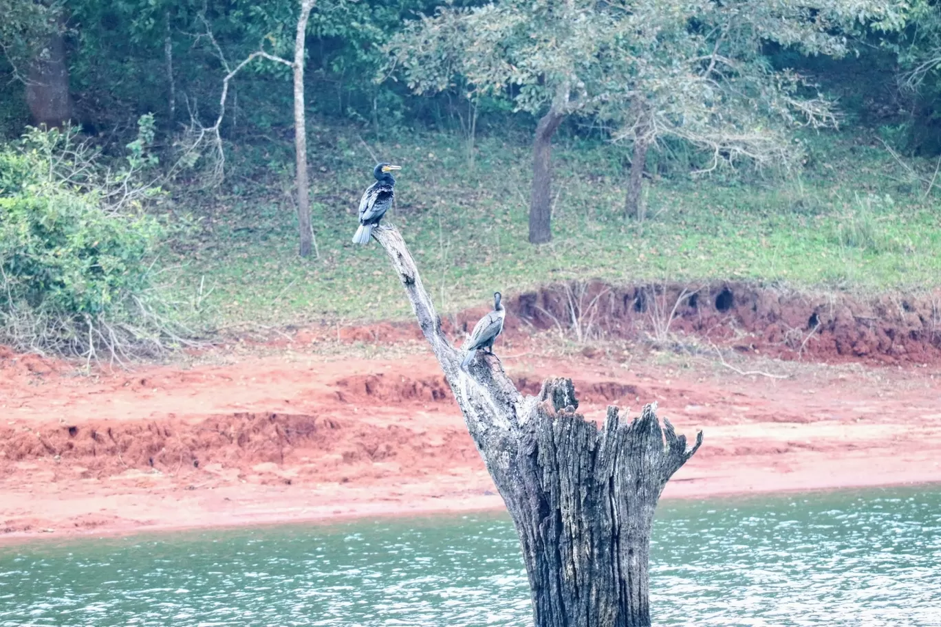 Photo of Periyar Tiger Reserve By Muthuvel Kalaivanan