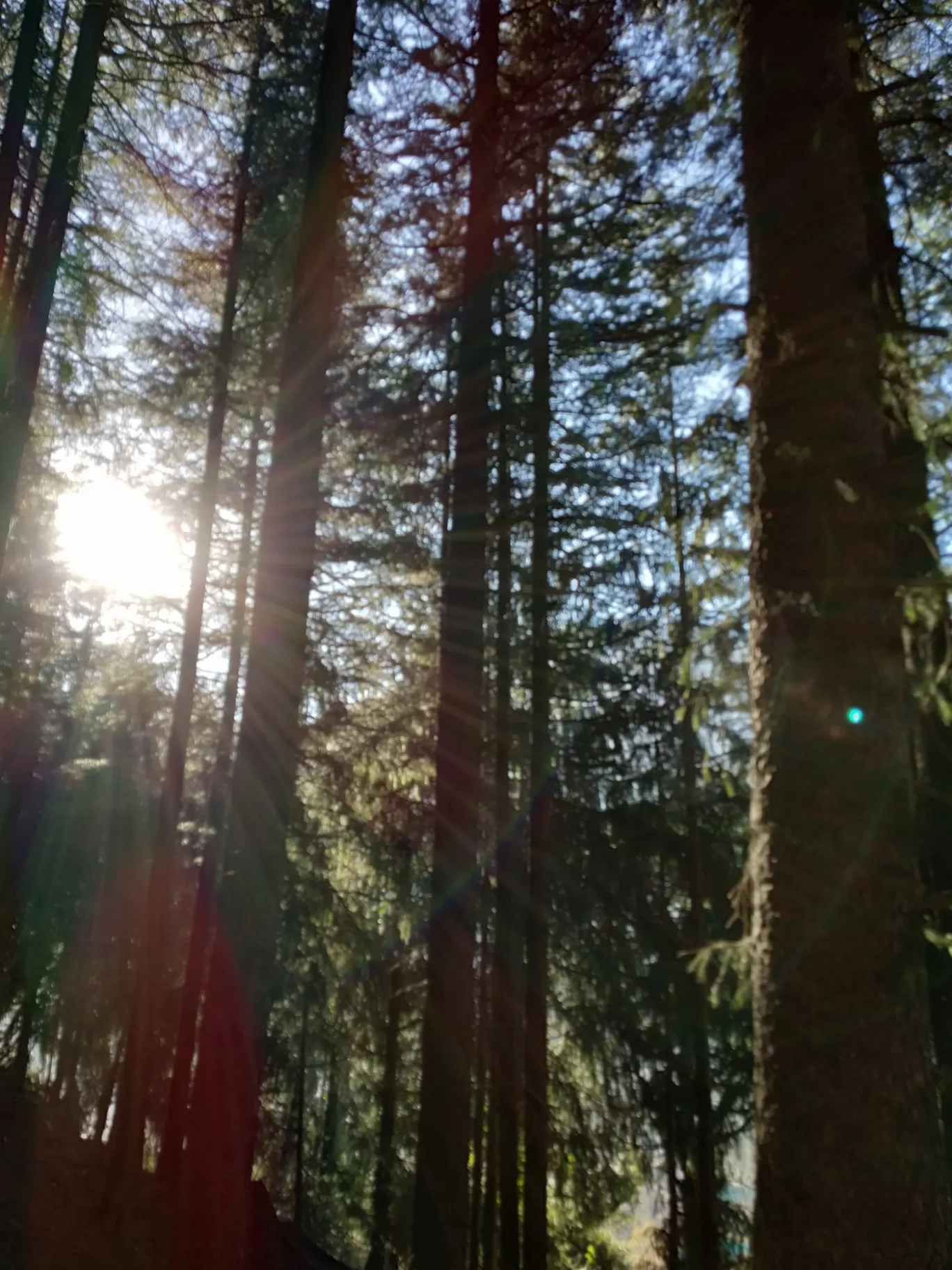 Photo of Manali By Reshu Agarwal