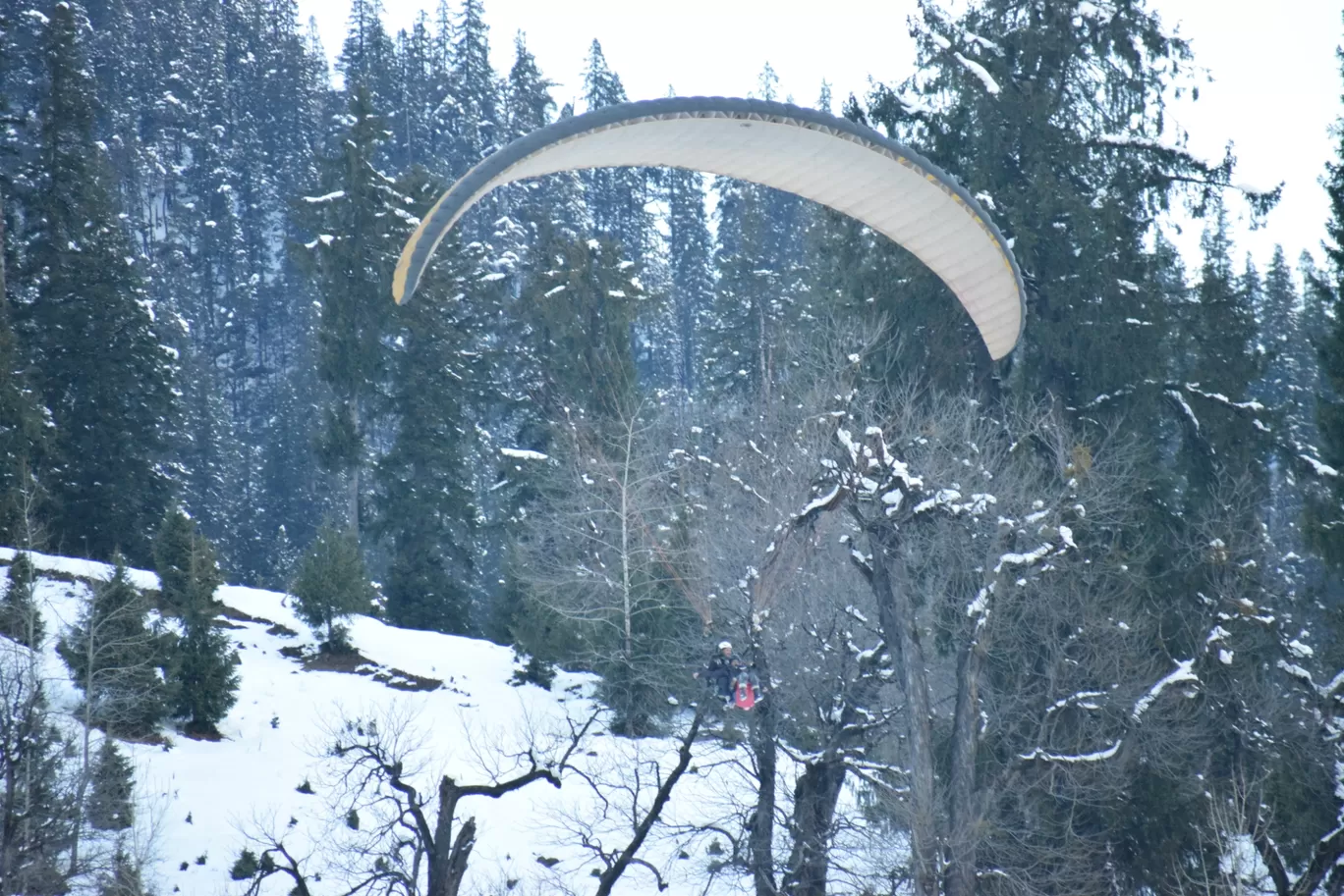 Photo of Manali By Reshu Agarwal