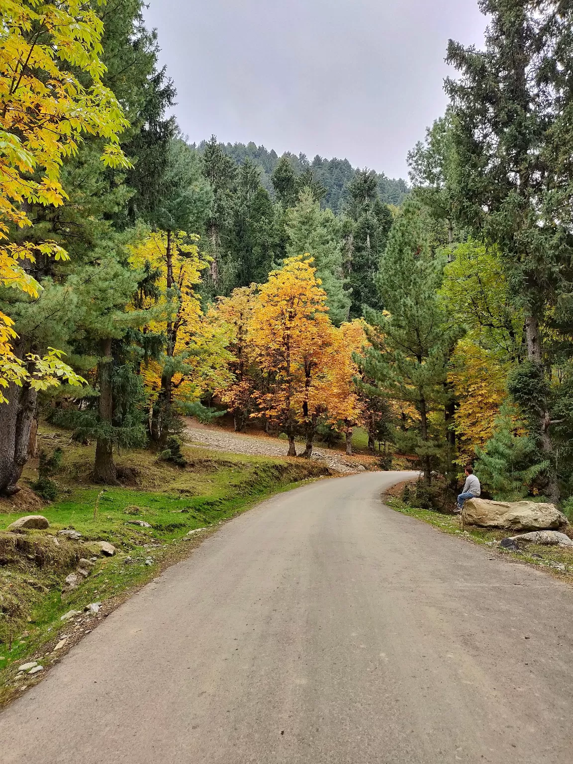 Photo of Gulmarg By revoshots