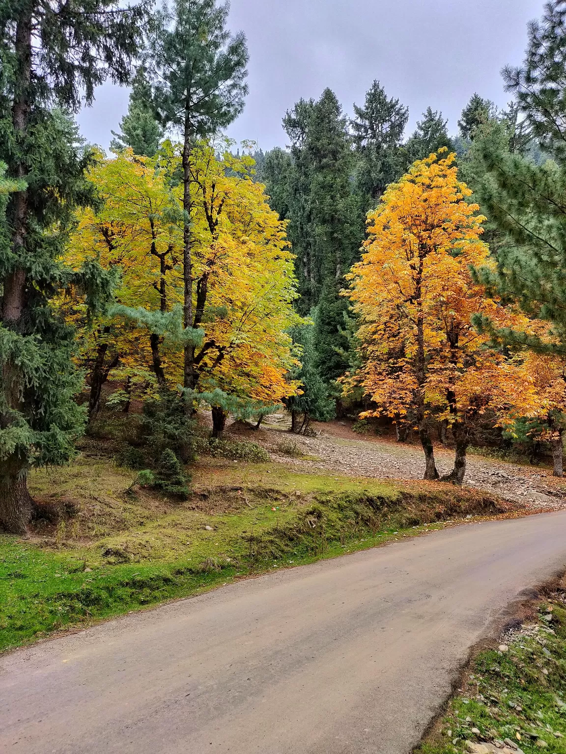 Photo of Gulmarg By revoshots