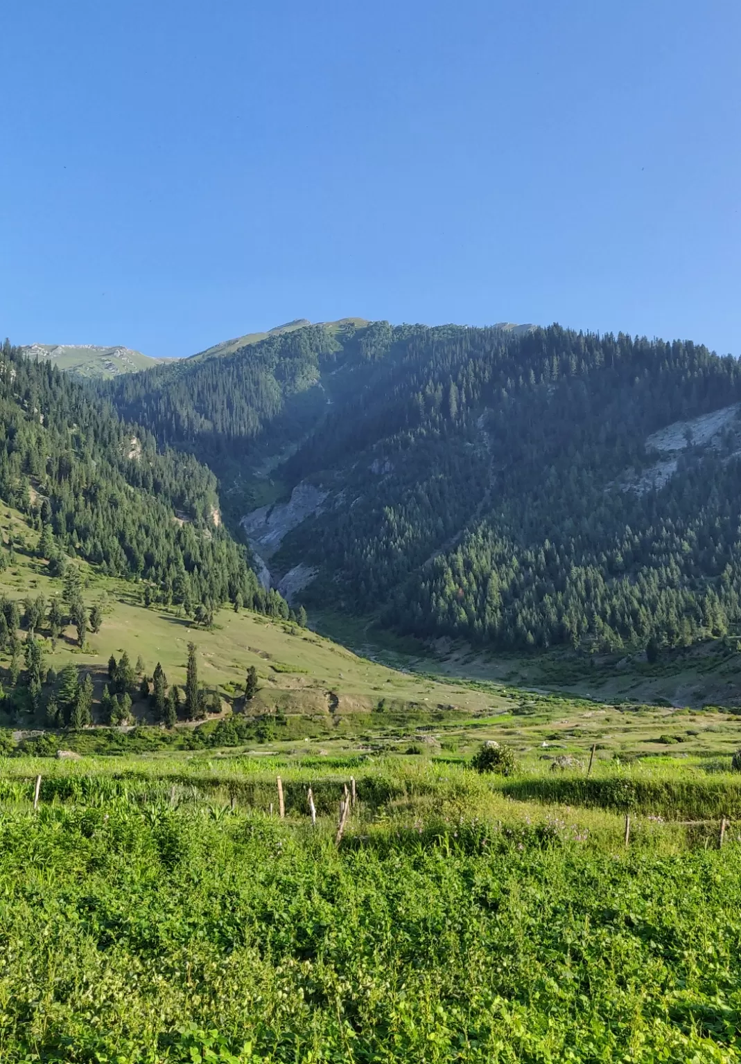 Photo of Neelam Valley By revoshots