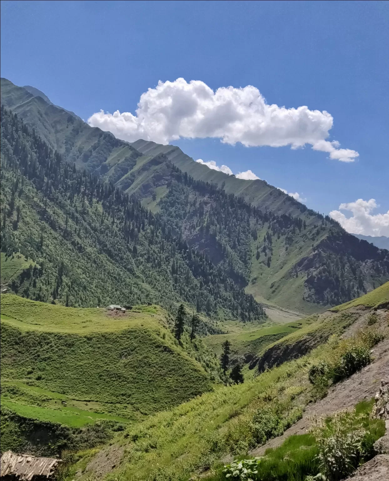 Photo of Neelam Valley By revoshots