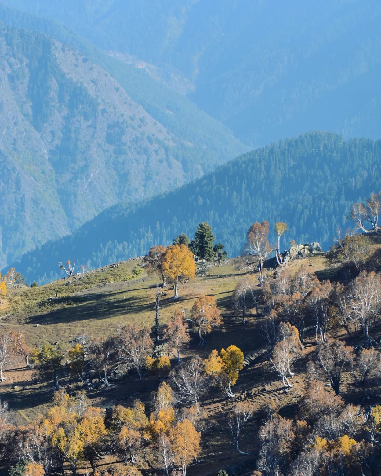 Photo of Neelum Valley By revoshots