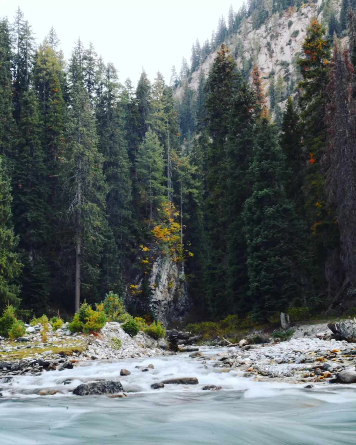 Photo of Neelum Valley By revoshots