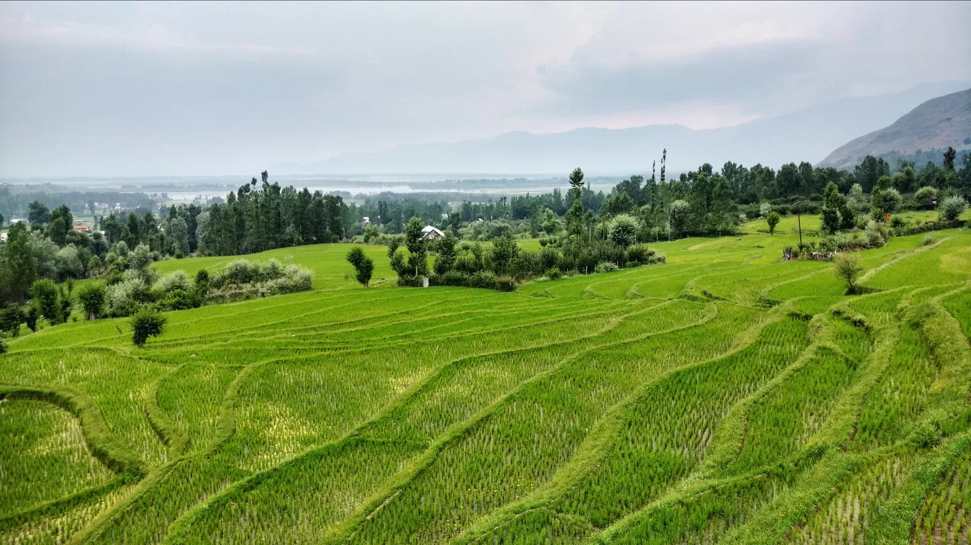 Photo of I Explore Kashmir By revoshots