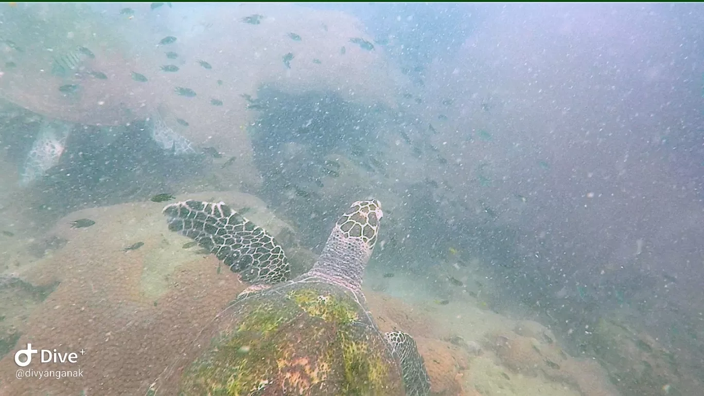 Photo of Pattaya Coral Island By Divyangana Kakade