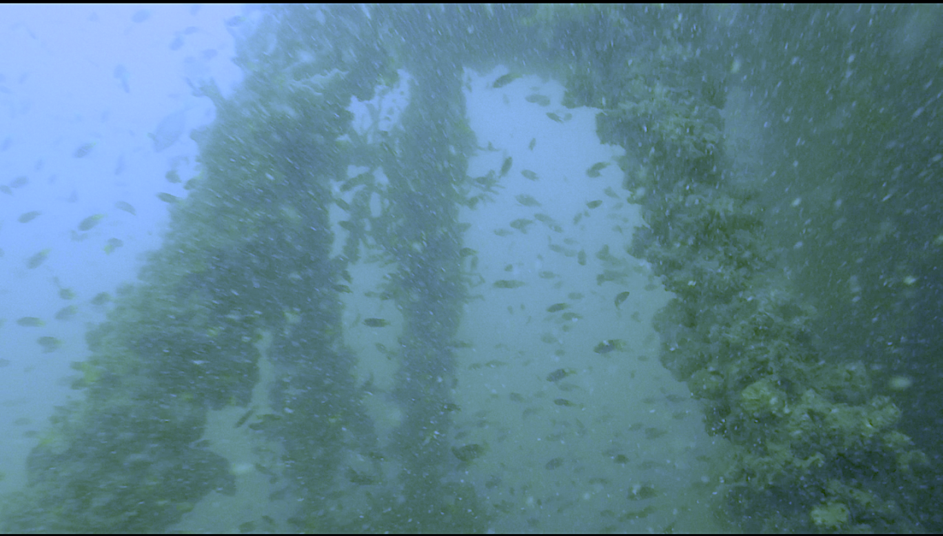 Photo of Pattaya Coral Island By Divyangana Kakade