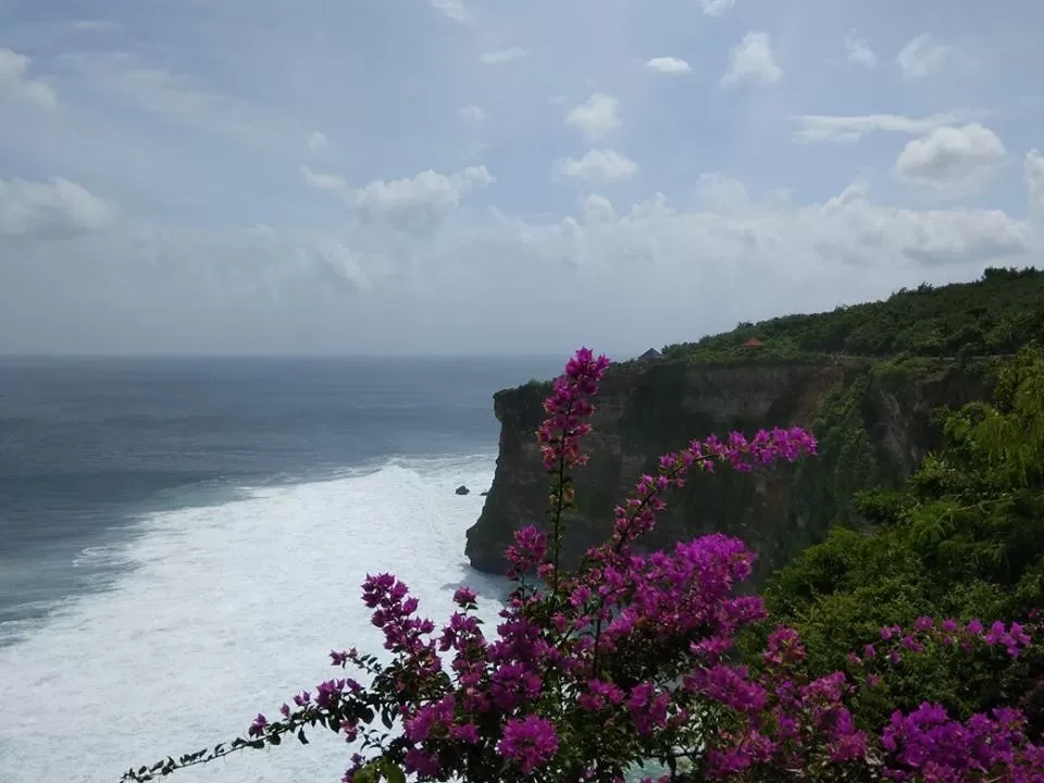 Photo of Bali By Snehal 