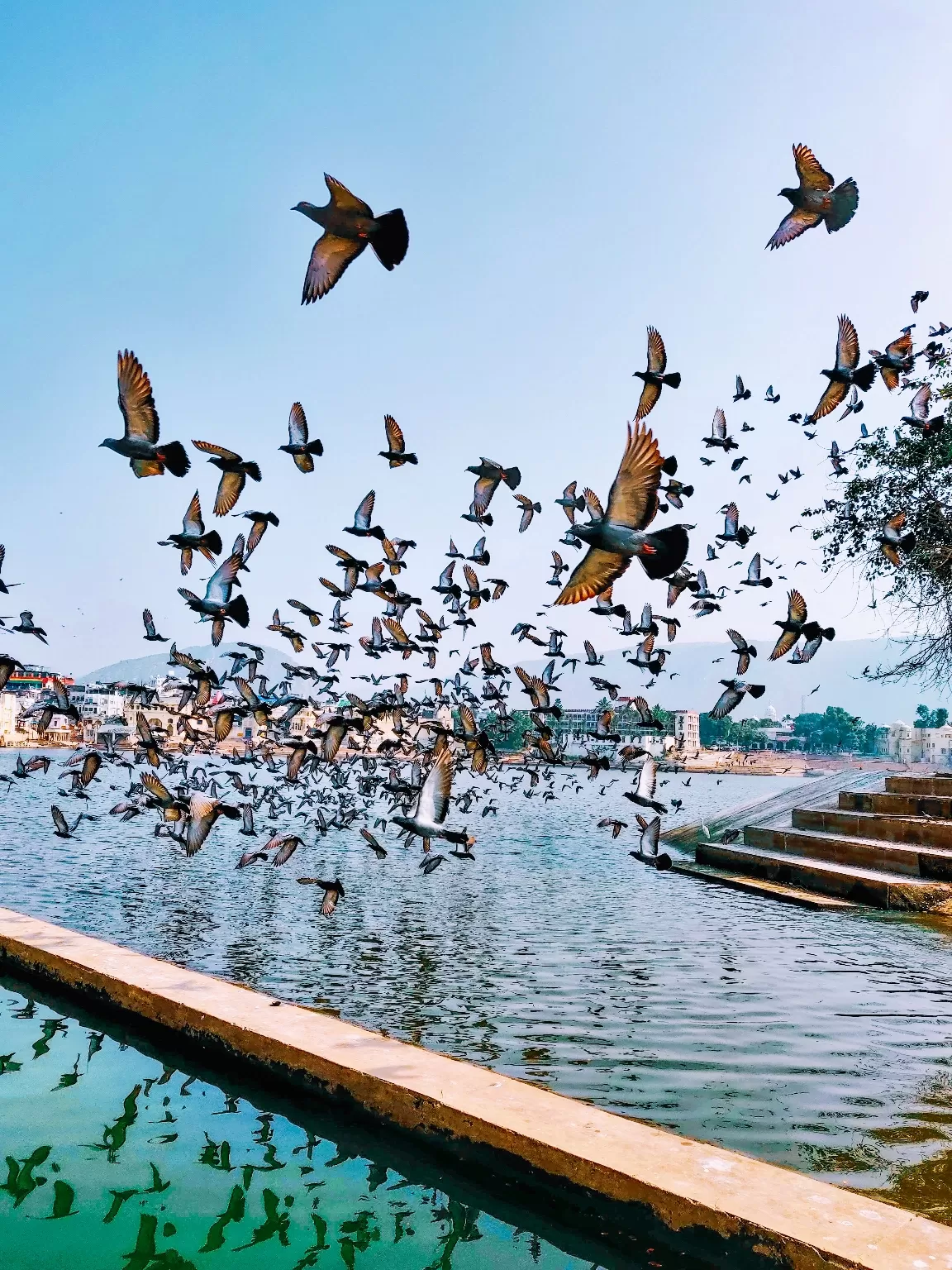 Photo of Pushkar Lake By Ninad Pawale