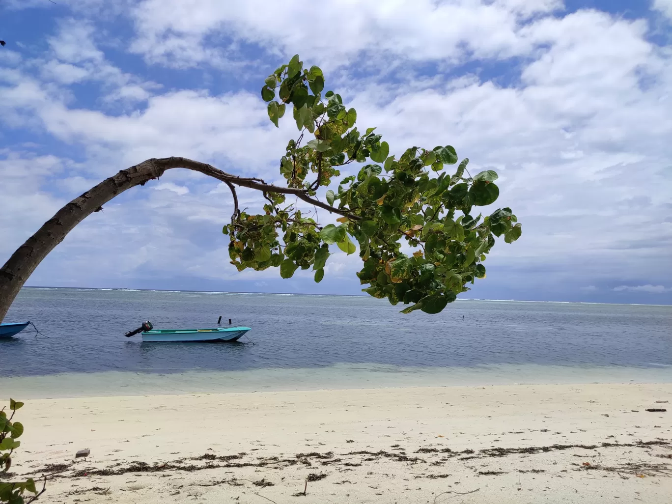Photo of Maldives By Reshma Rawat