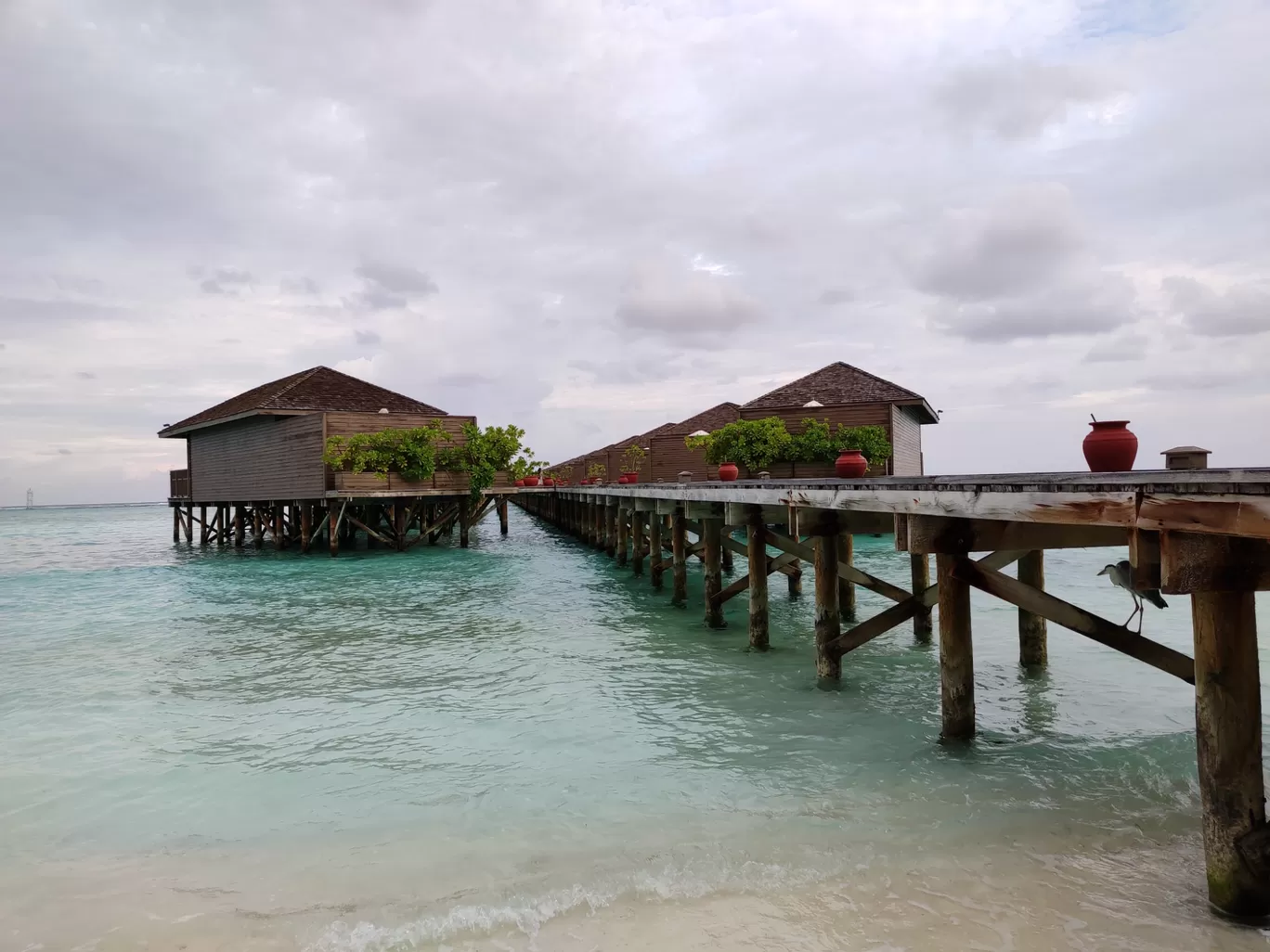 Photo of Maldives By Reshma Rawat