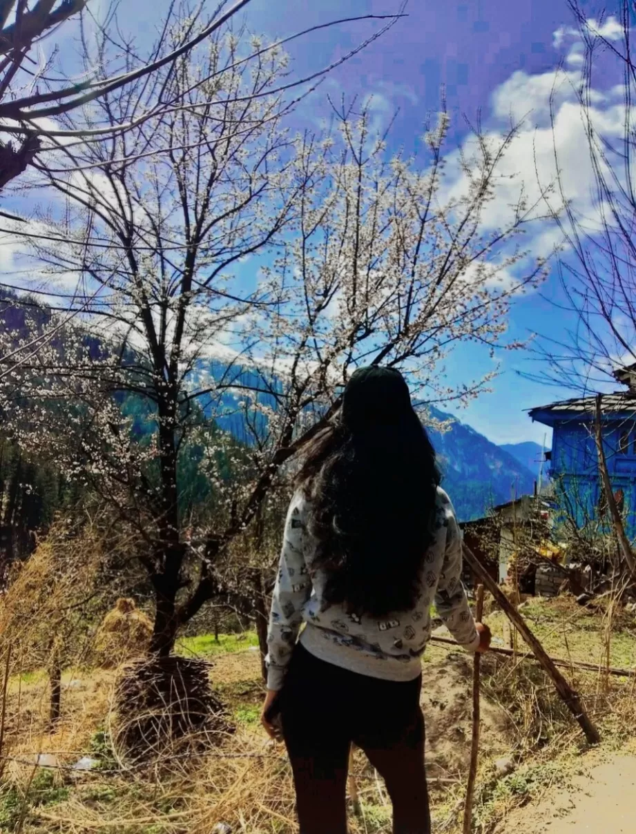 Photo of Parvati Valley By Shivani Panwar